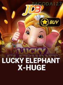Lucky Elephant X Huge