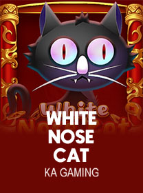 White-Nose-Cat